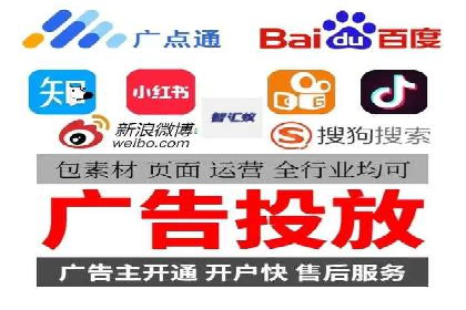 知名SEM公司案例分析：优化策略与成果